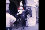 060 - Guard and Horse in London (-1x-1, -1 bytes)